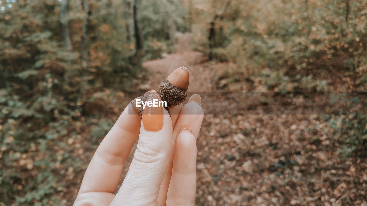 CLOSE-UP OF PERSON HOLDING HANDS ON LAND