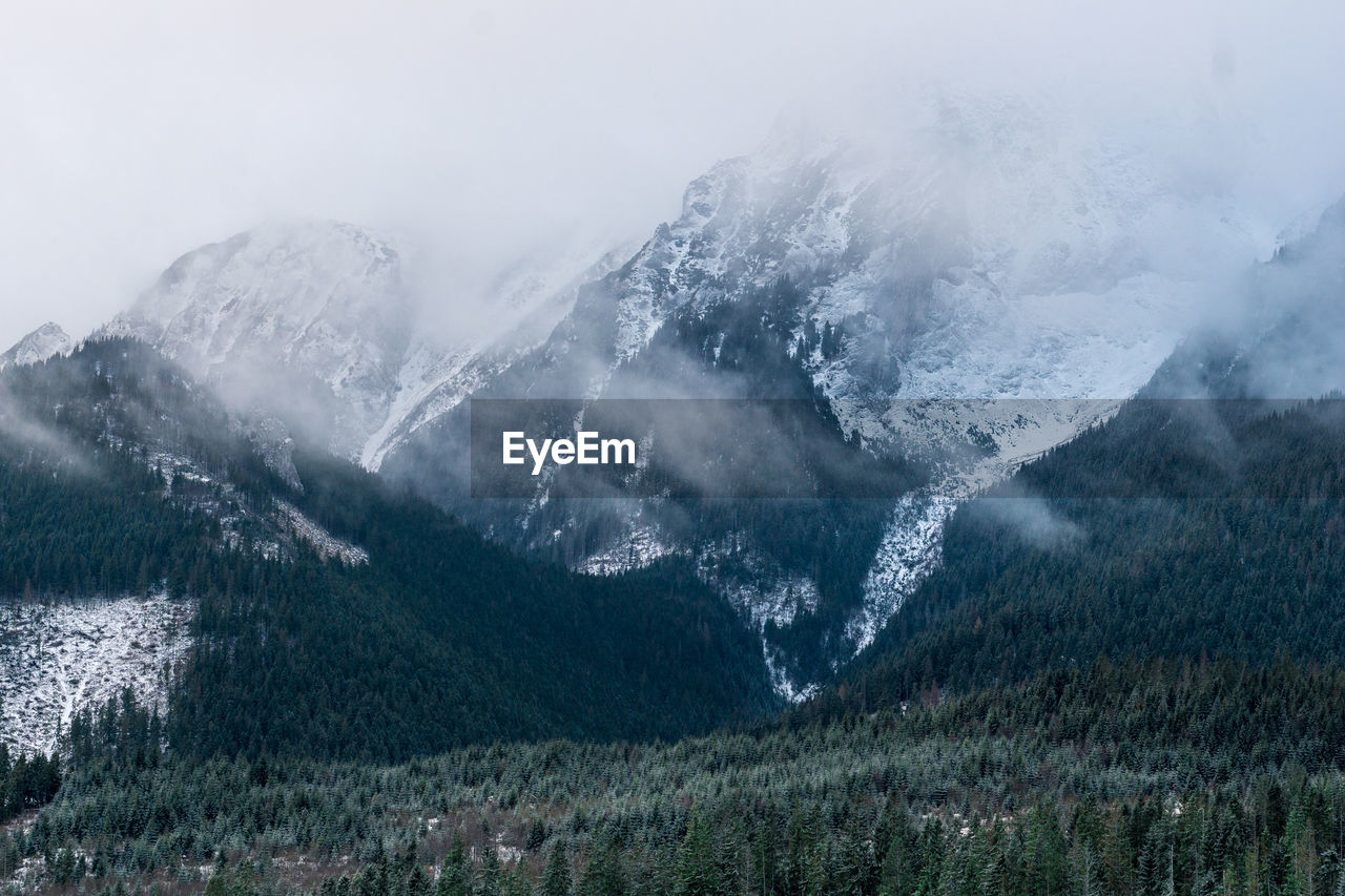 Scenic view of tree mountains against sky during winter