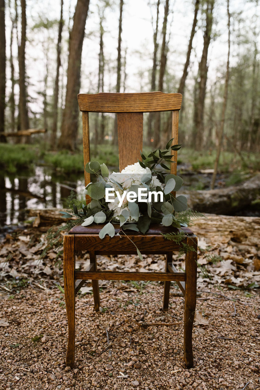 Flowers on chair against trees in forest