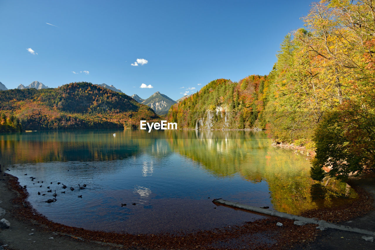 Scenic view of lake by trees against sky