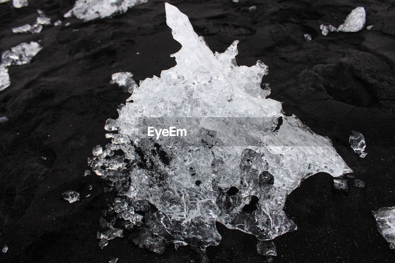 CLOSE-UP OF FROZEN LEAF