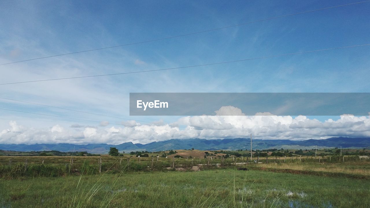 Scenic view of grassy landscape against sky