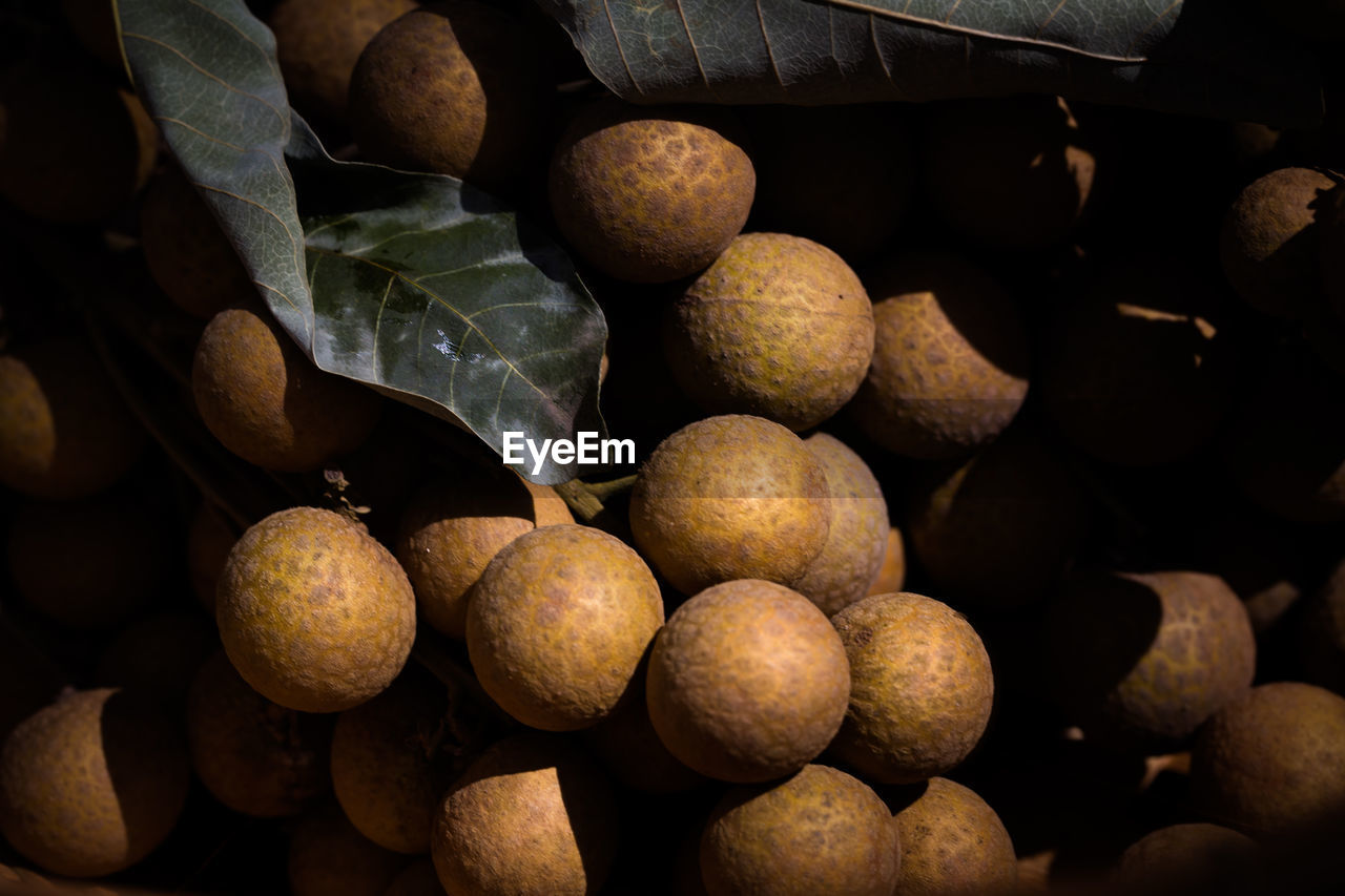 Close-up of fruits