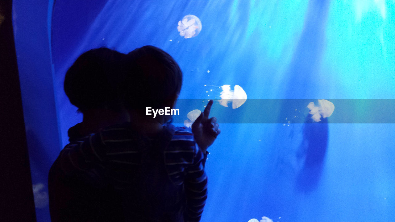 SILHOUETTE BOY IN AQUARIUM