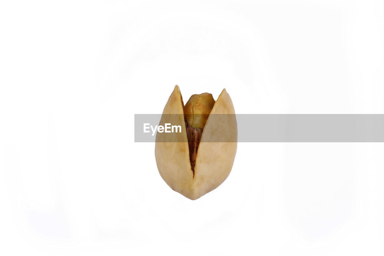 Close-up of single pistachio nut against white background 