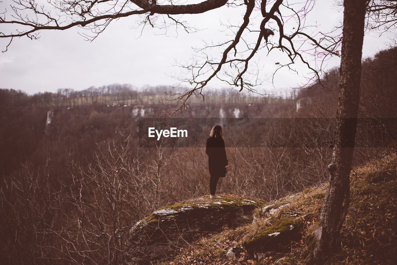 Rear view of woman standing on rock against bare trees