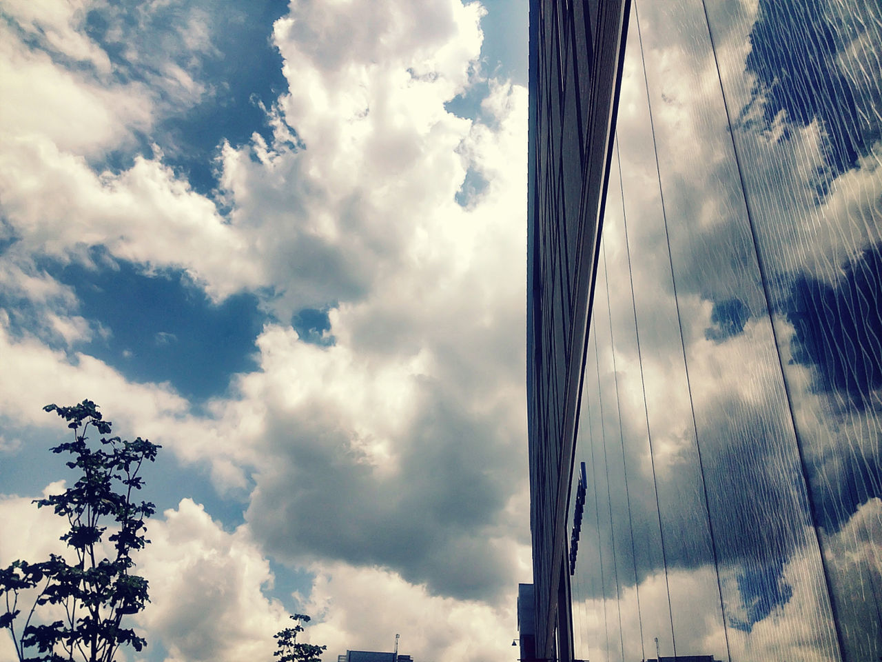 LOW ANGLE VIEW OF CLOUDY SKY