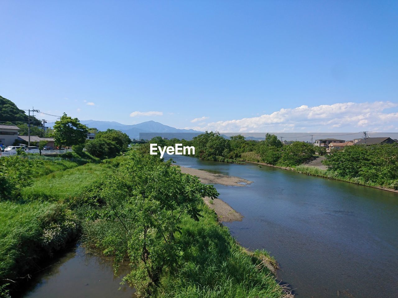 PLANTS GROWING BY RIVER AGAINST SKY