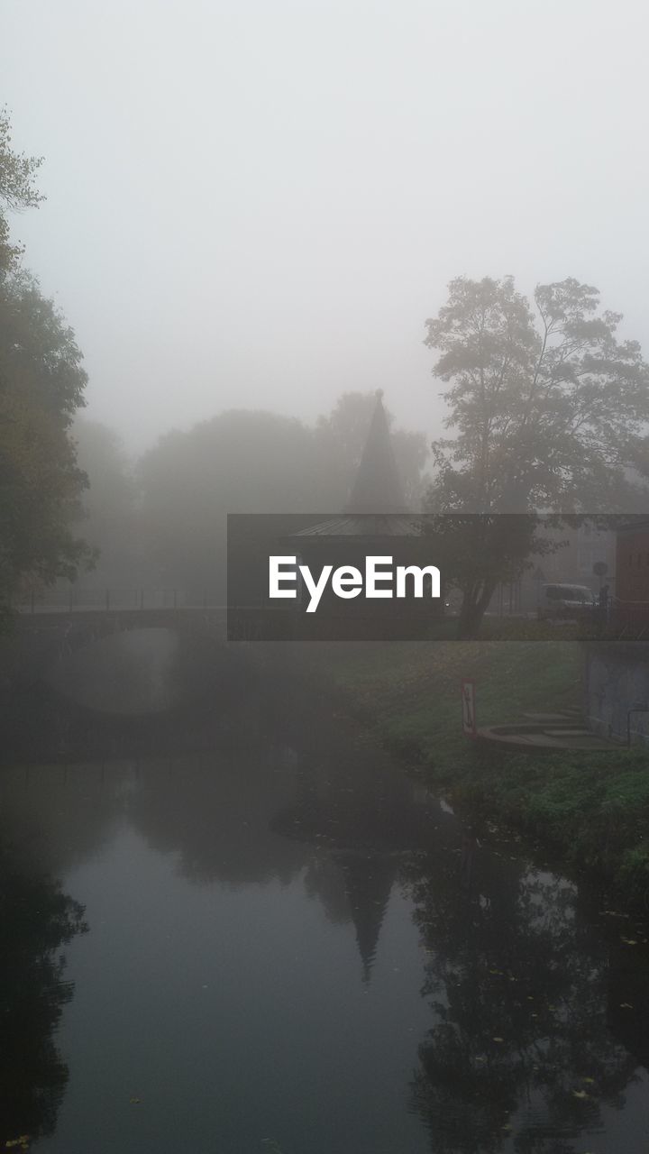 REFLECTION OF TREES IN FOGGY WEATHER