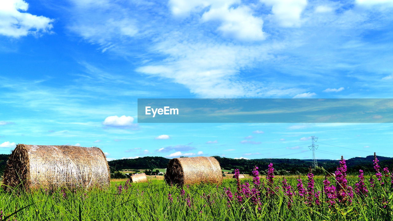 Hay bales on field against blue sky