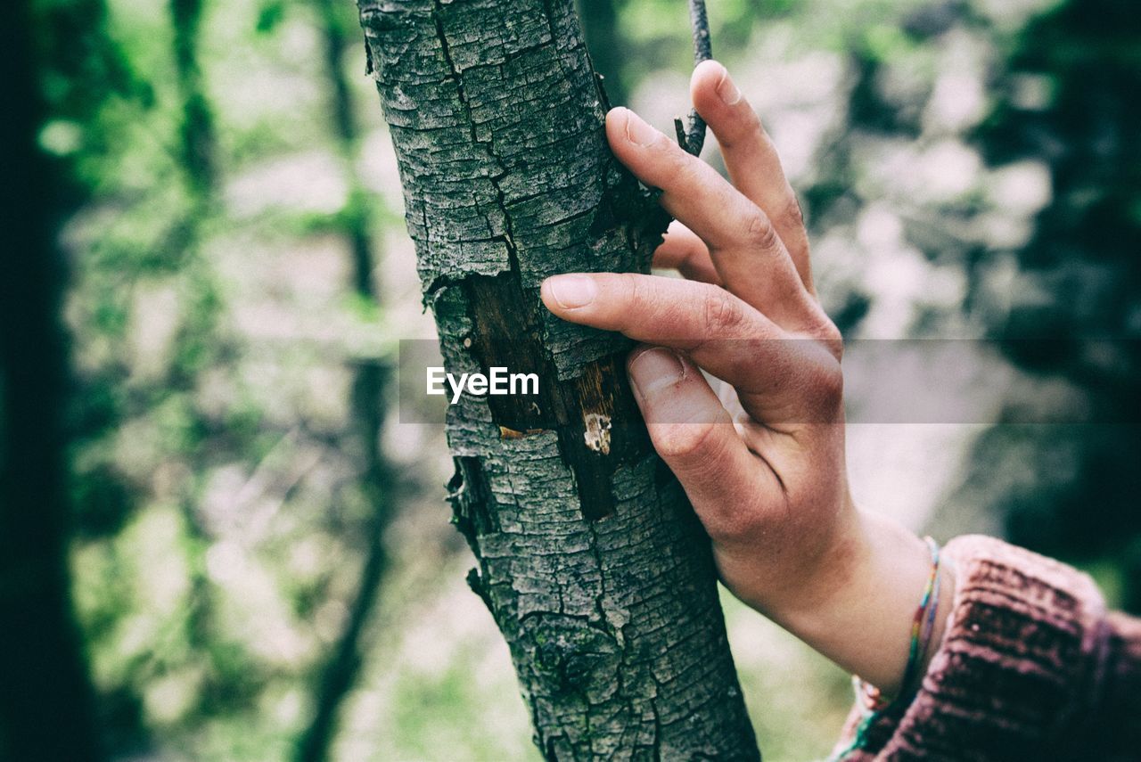 Close-up of hands on tree