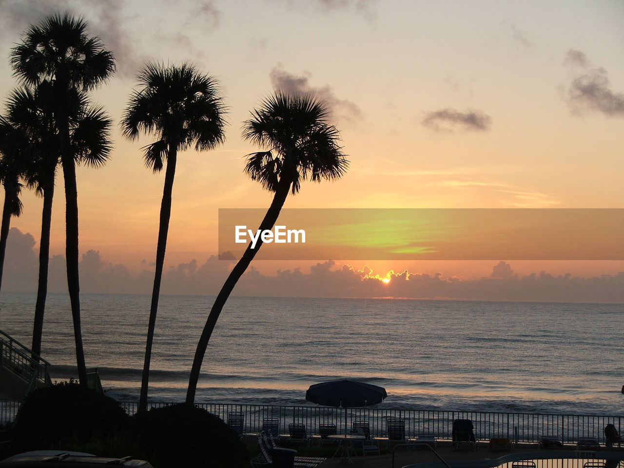 Silhouette of palm trees at beach during sunset