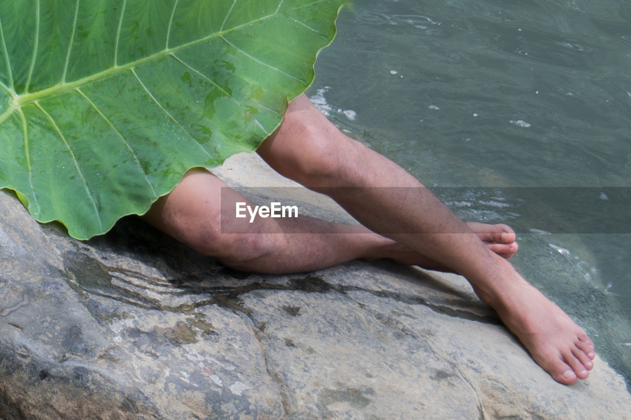 Low section of man with leaf on rock over river