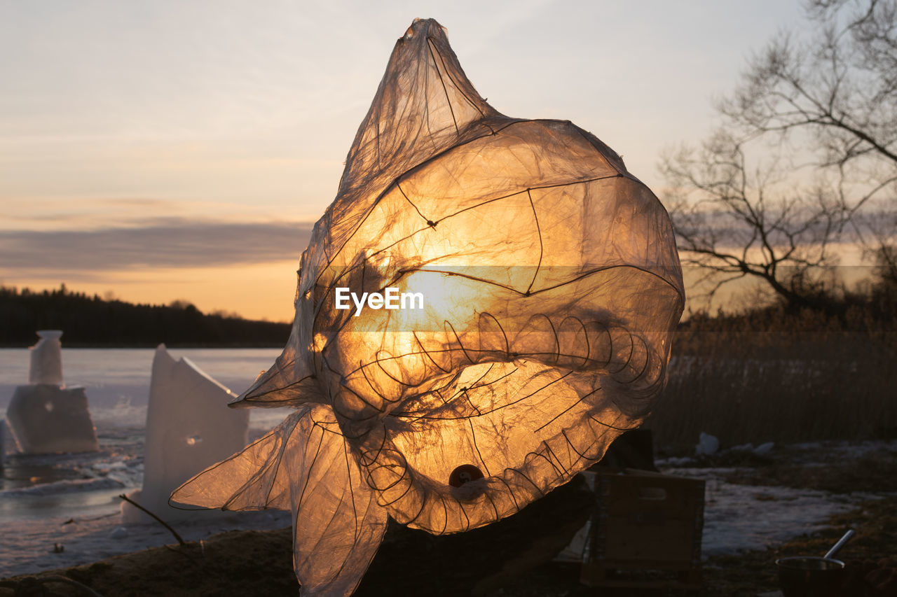 Transparent paper sculpture of a fish backlit by sunset