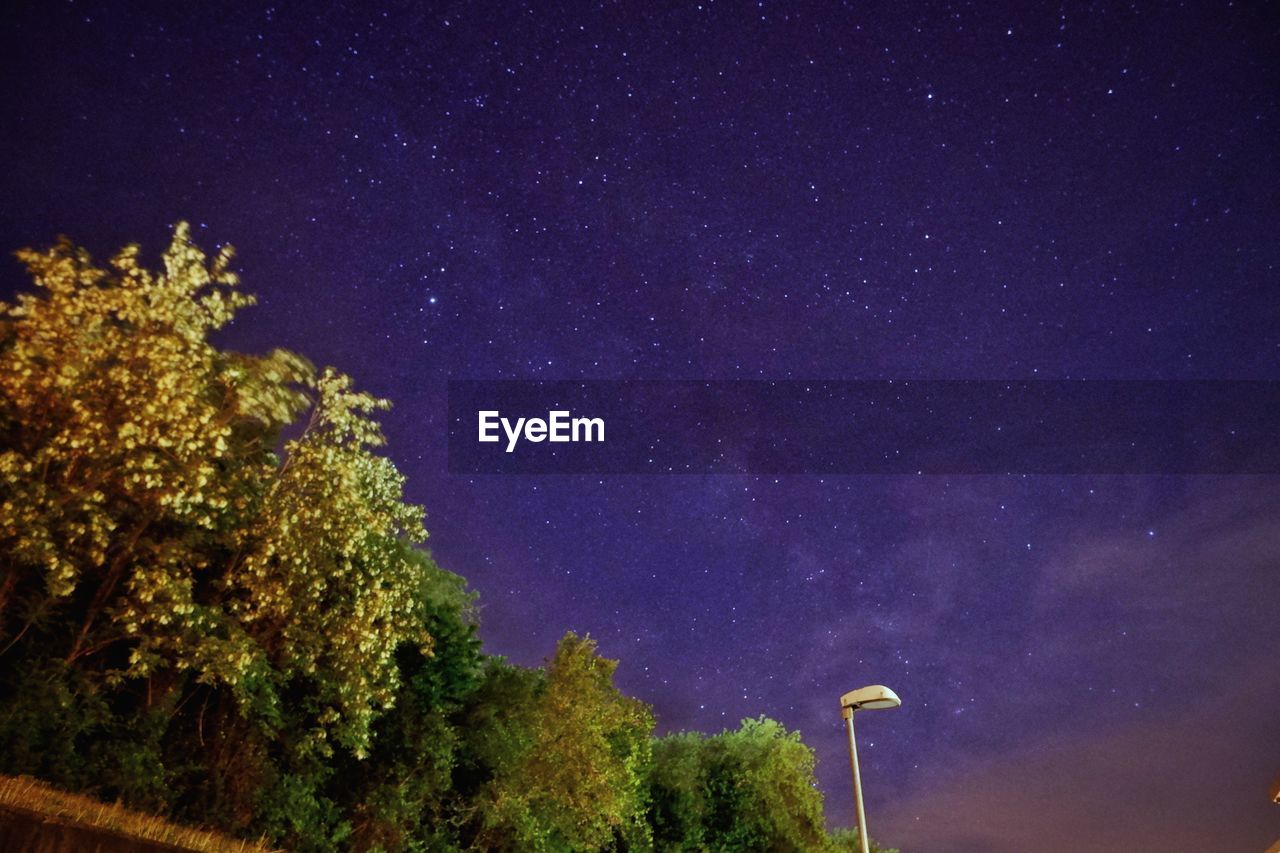 LOW ANGLE VIEW OF TREES AGAINST STAR FIELD