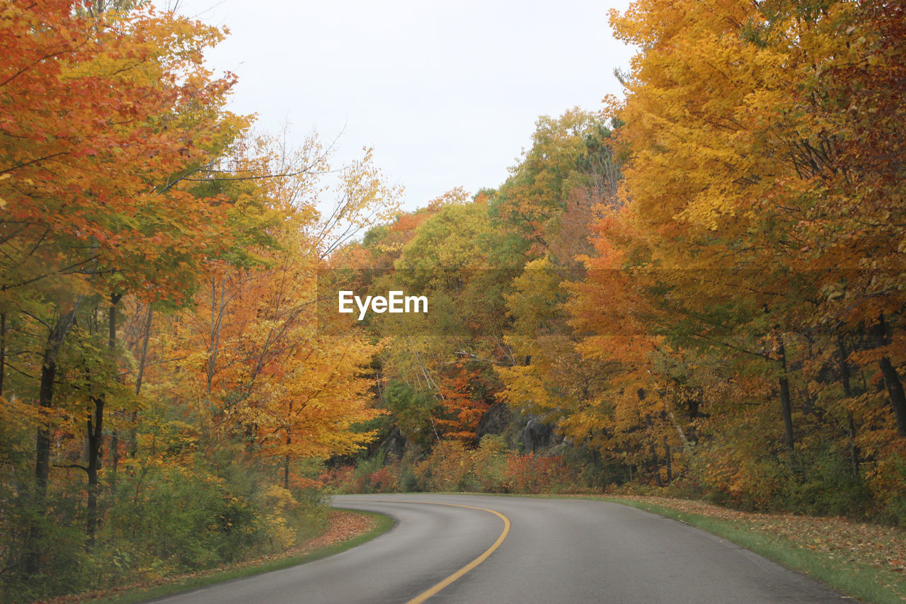 Road amidst trees against sky during autumn