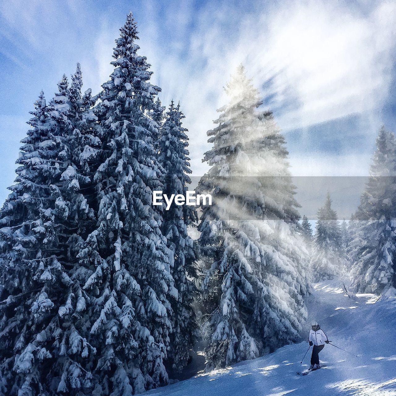 Person skiing by snow covered trees against sky