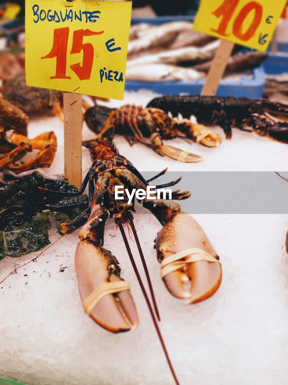 Close-up of lobster for sale at market stall