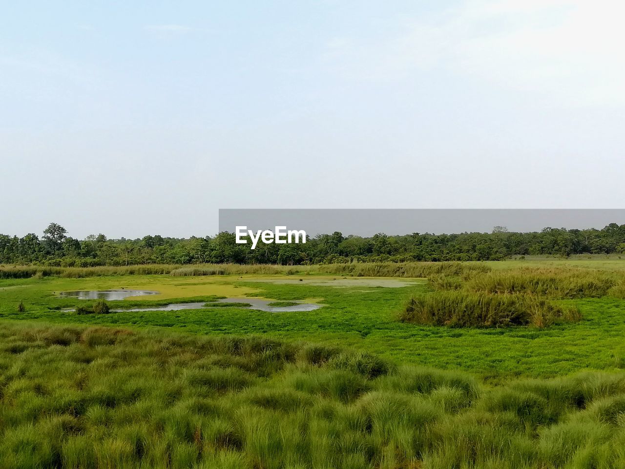 SCENIC VIEW OF FARM AGAINST SKY