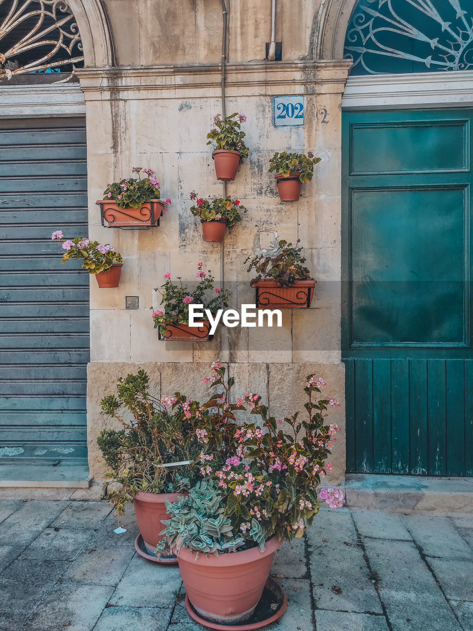 architecture, building exterior, plant, built structure, potted plant, door, entrance, flowering plant, flower, wall, no people, building, day, blue, nature, flowerpot, window, outdoors, closed, house, wall - building feature, growth, city, facade, wood, residential district, decoration, urban area