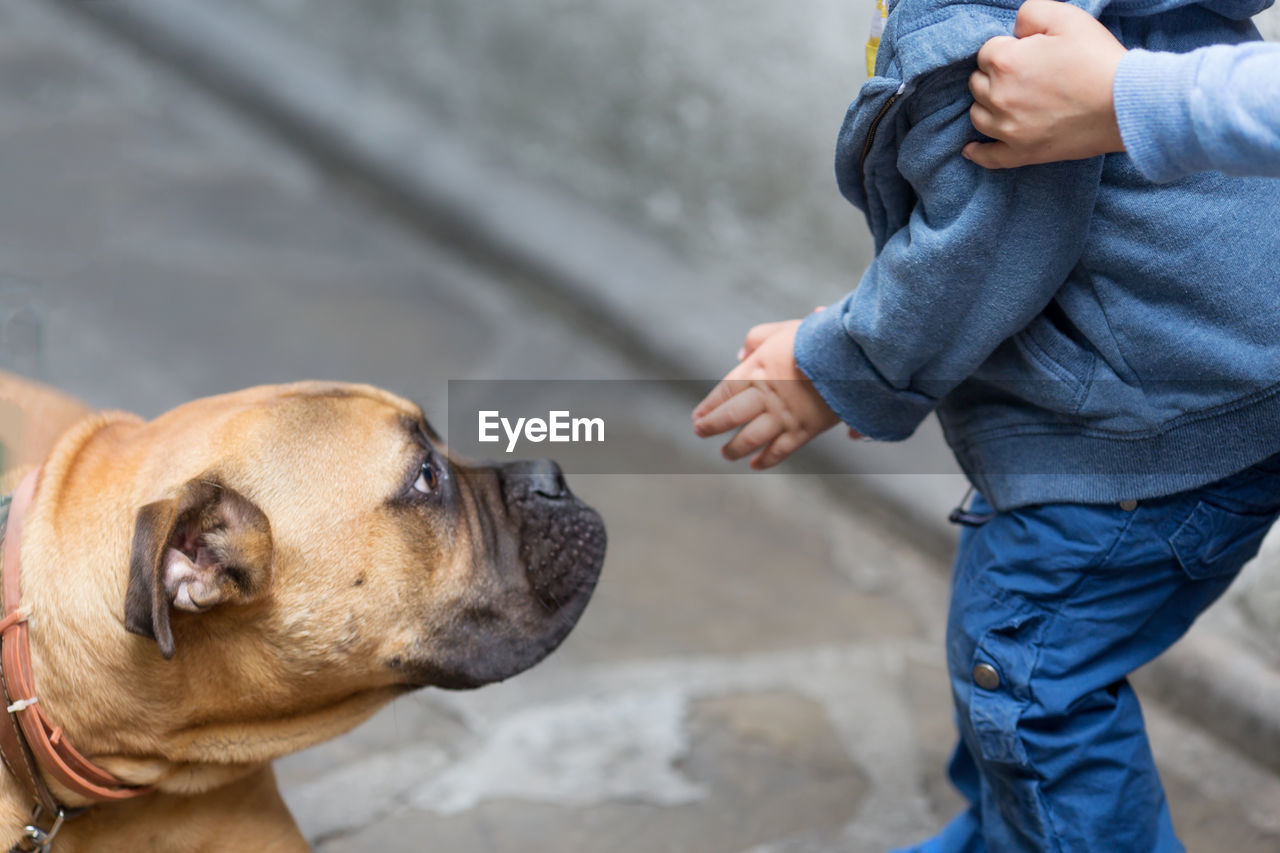 Side view of boxer with boys