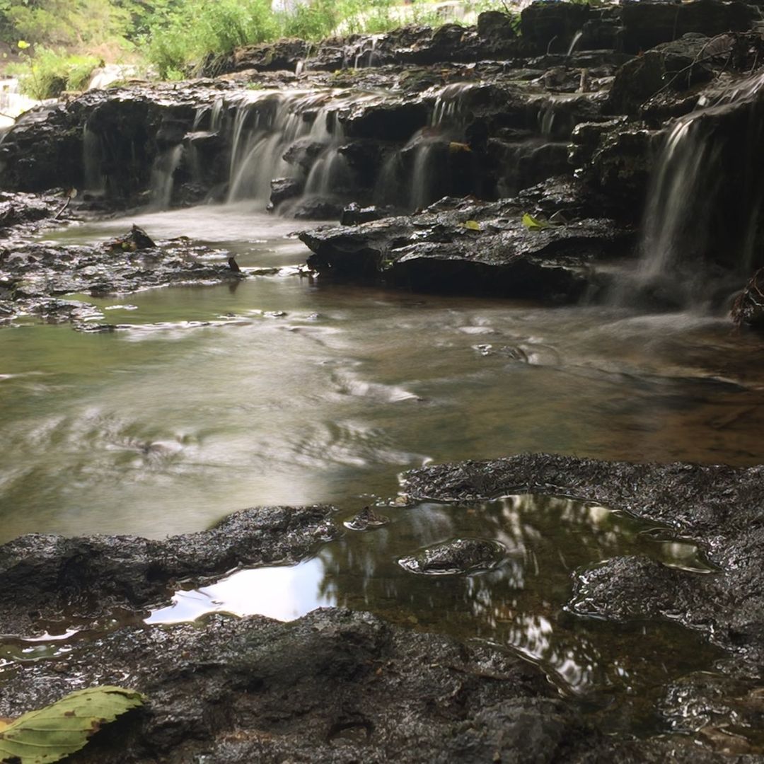 Water flowing through rocks in forest