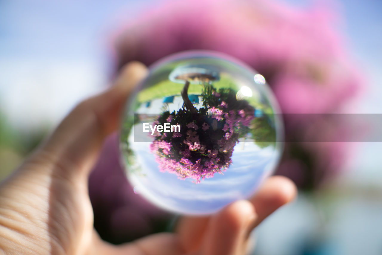 Cropped hand holding crystal ball against blooming flowers