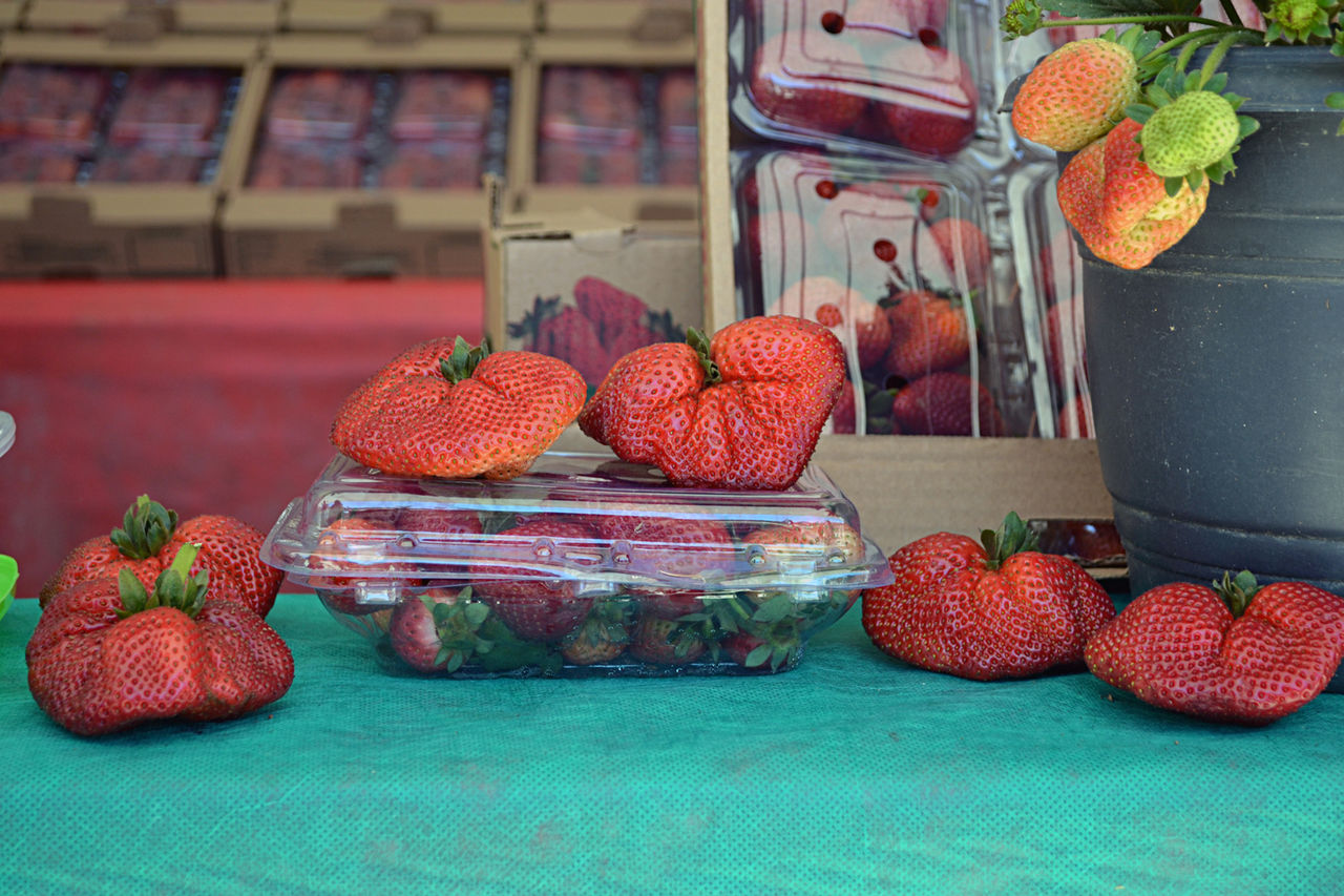 CLOSE-UP OF FRUITS IN BASKET