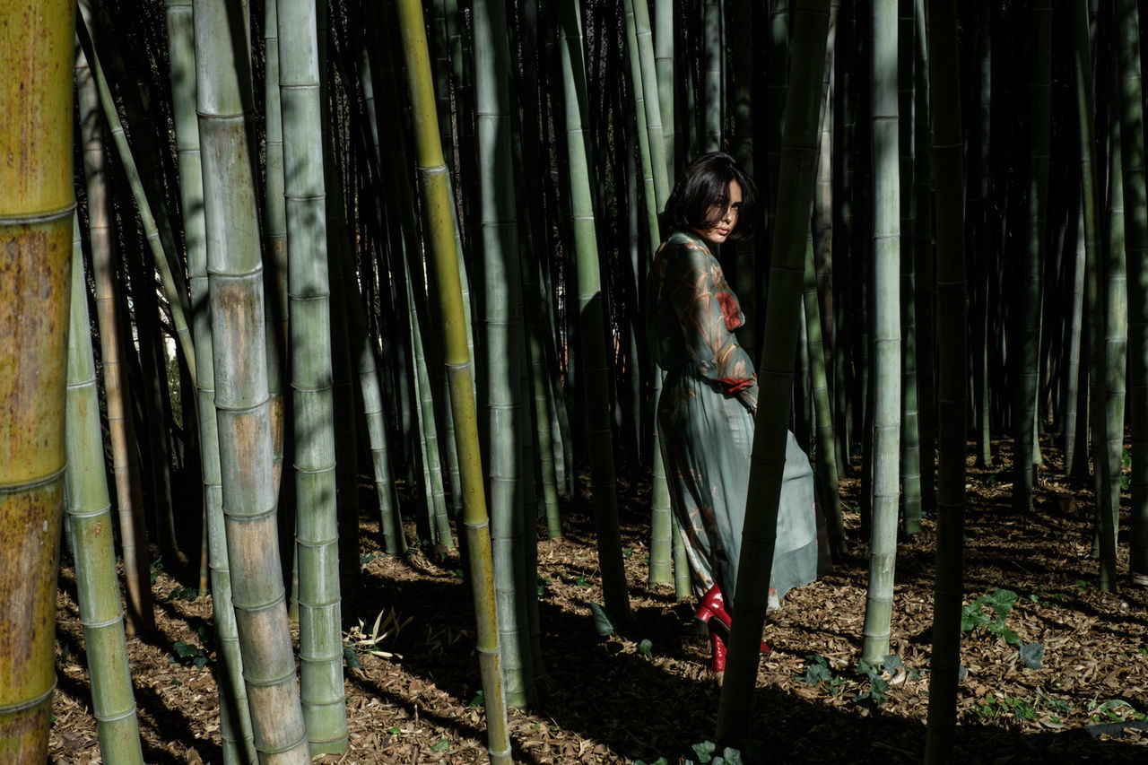 Young woman standing amidst bamboo plants at forest on sunny day