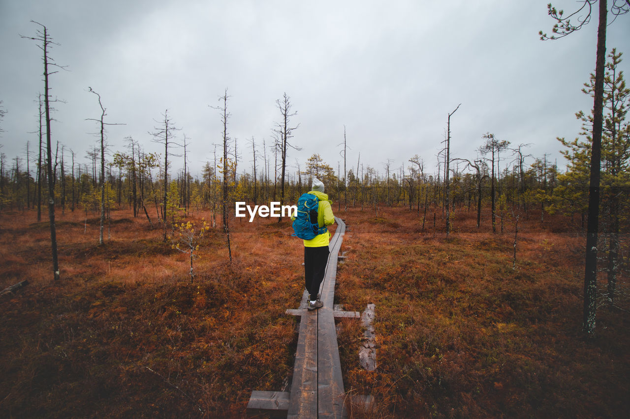 Young traveller walks along the arctic circle trail near rovaniemi. hiker with green jacket 