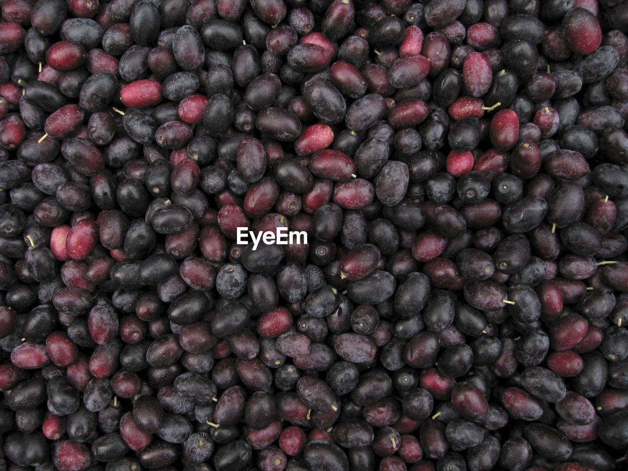 FULL FRAME SHOT OF FRESH FRUIT