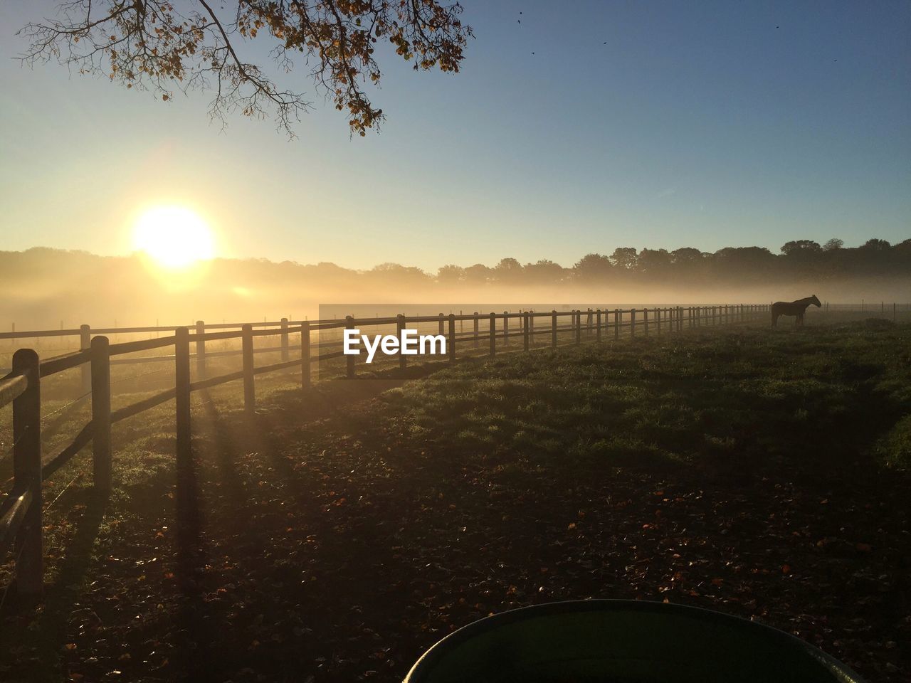 Horse on landscape at sunset