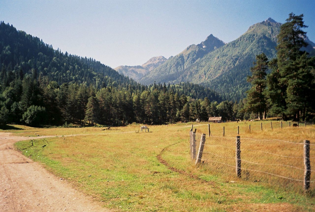 Scenic view of field and mountains against sky