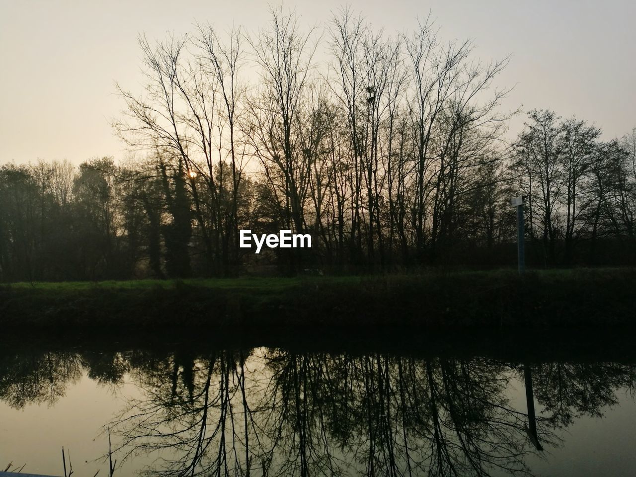 REFLECTION OF TREES IN LAKE AGAINST SKY