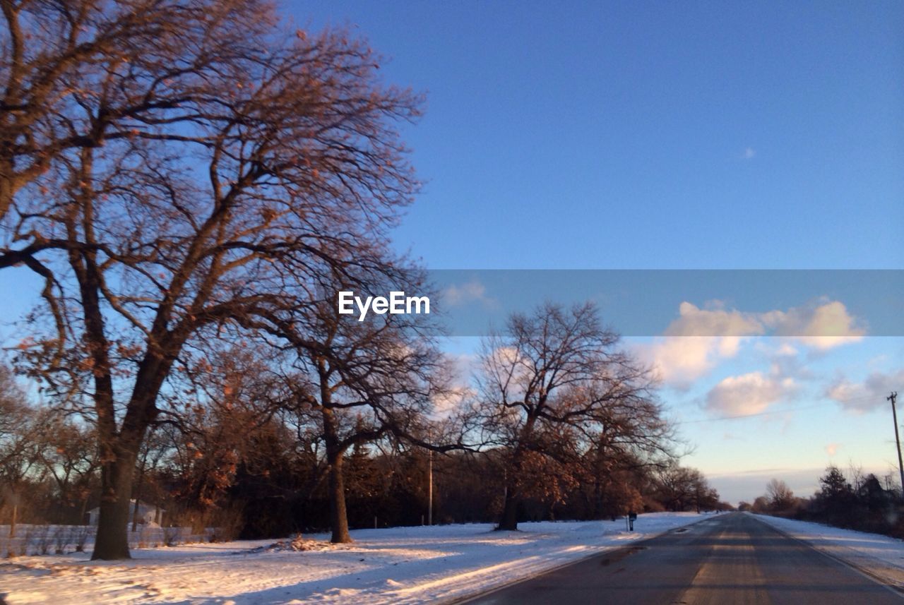 EMPTY ROAD WITH TREES IN BACKGROUND