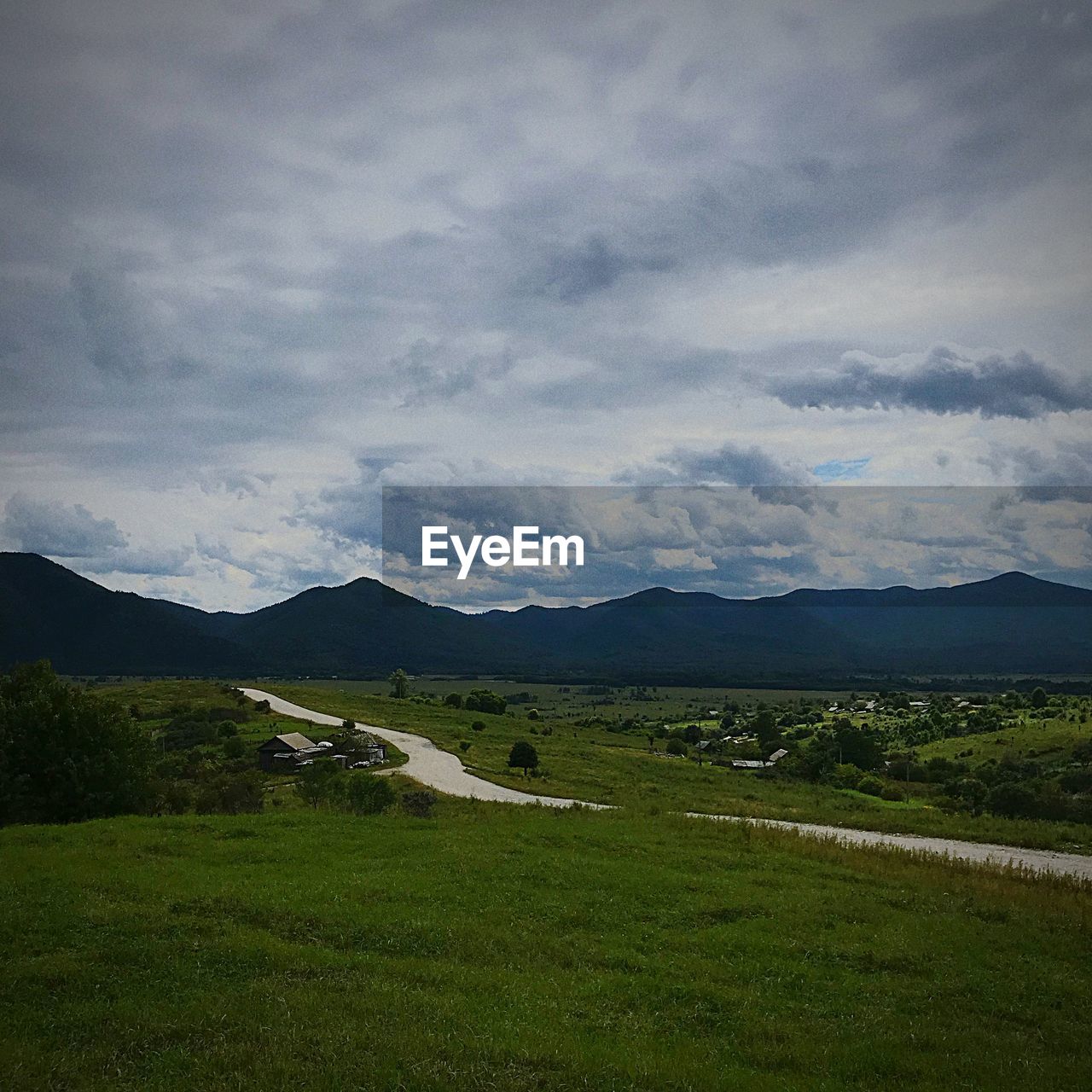 SCENIC VIEW OF GRASSY FIELD AGAINST SKY