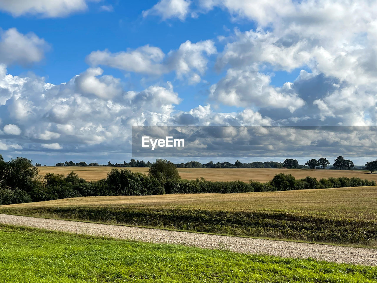 SCENIC VIEW OF AGRICULTURAL LANDSCAPE AGAINST SKY