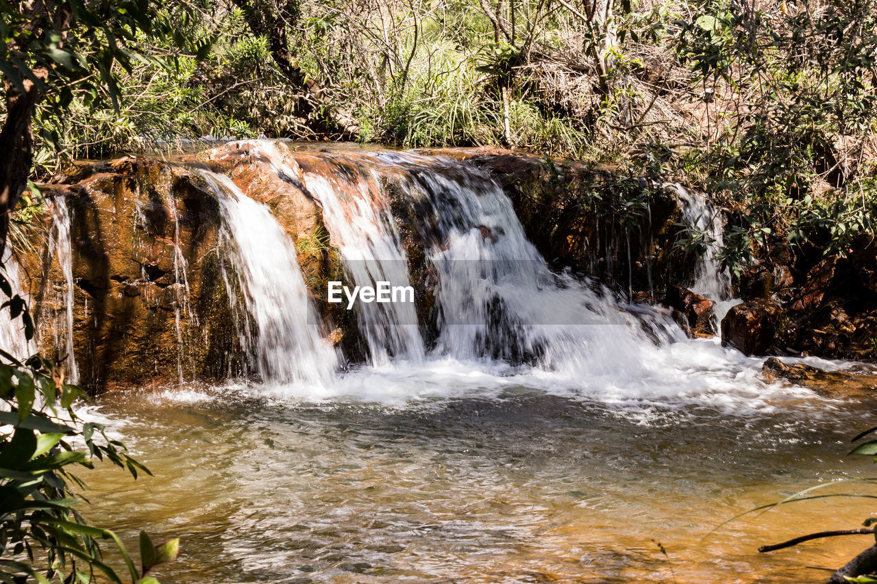 WATERFALL IN FOREST