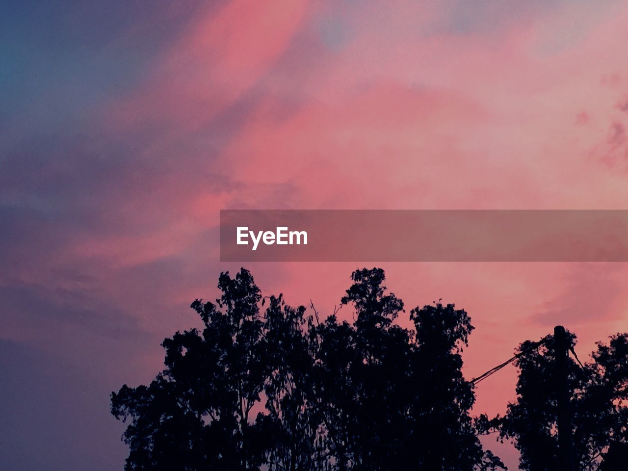 LOW ANGLE VIEW OF SILHOUETTE TREE AGAINST SKY