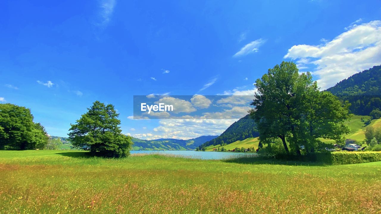 SCENIC VIEW OF LAND AGAINST SKY