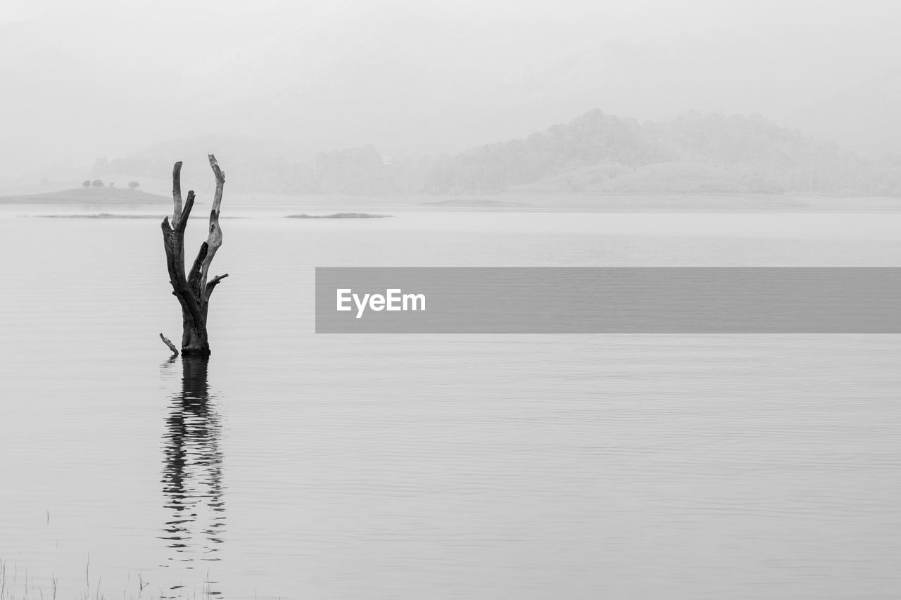 Scenic view of lake against trees