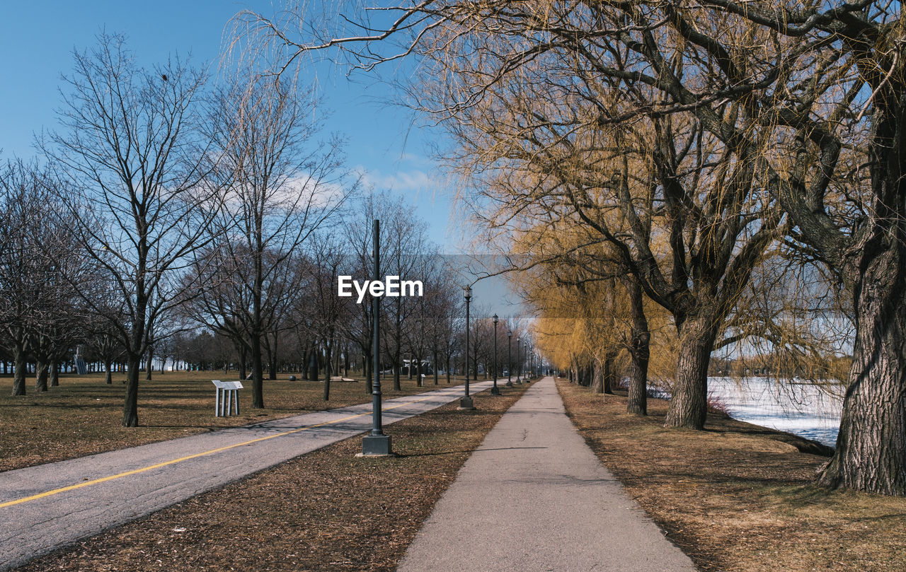 ROAD AMIDST TREES ON FIELD AGAINST SKY