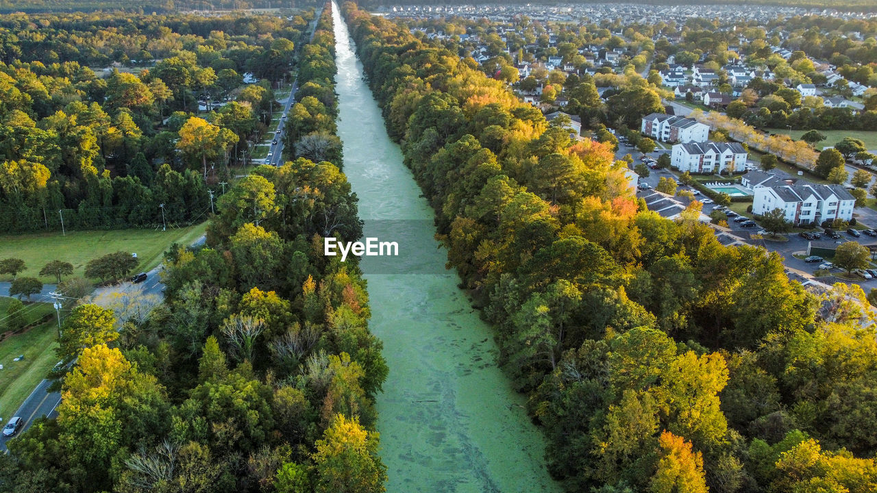 Aerial photo of duckweed in the dismal swamp canal in virgina