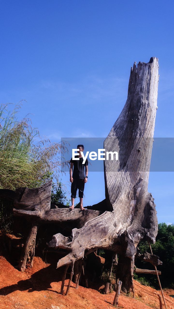 FULL LENGTH OF MAN STANDING ON WOODEN STRUCTURE AGAINST BLUE SKY
