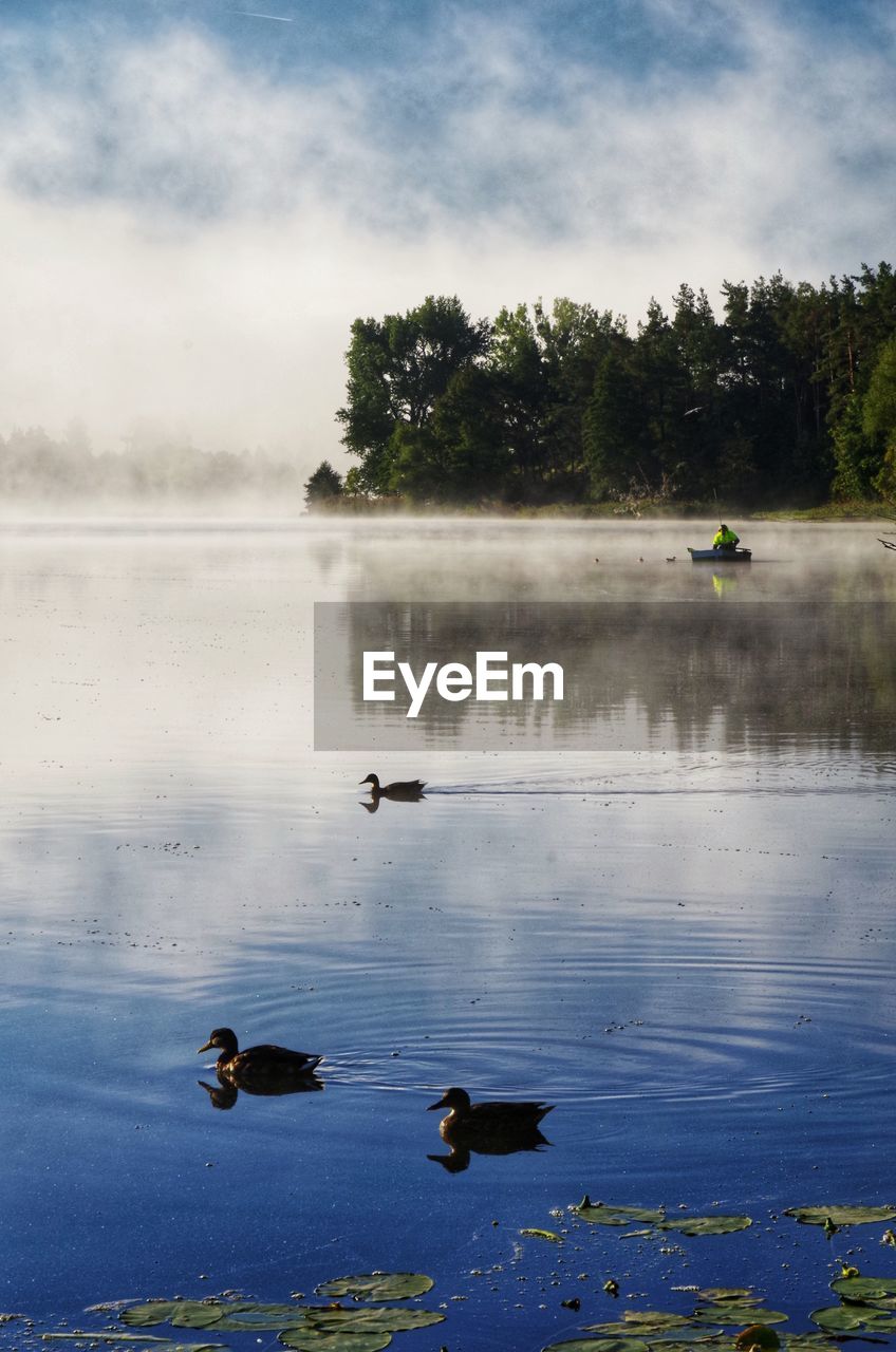 scenic view of lake