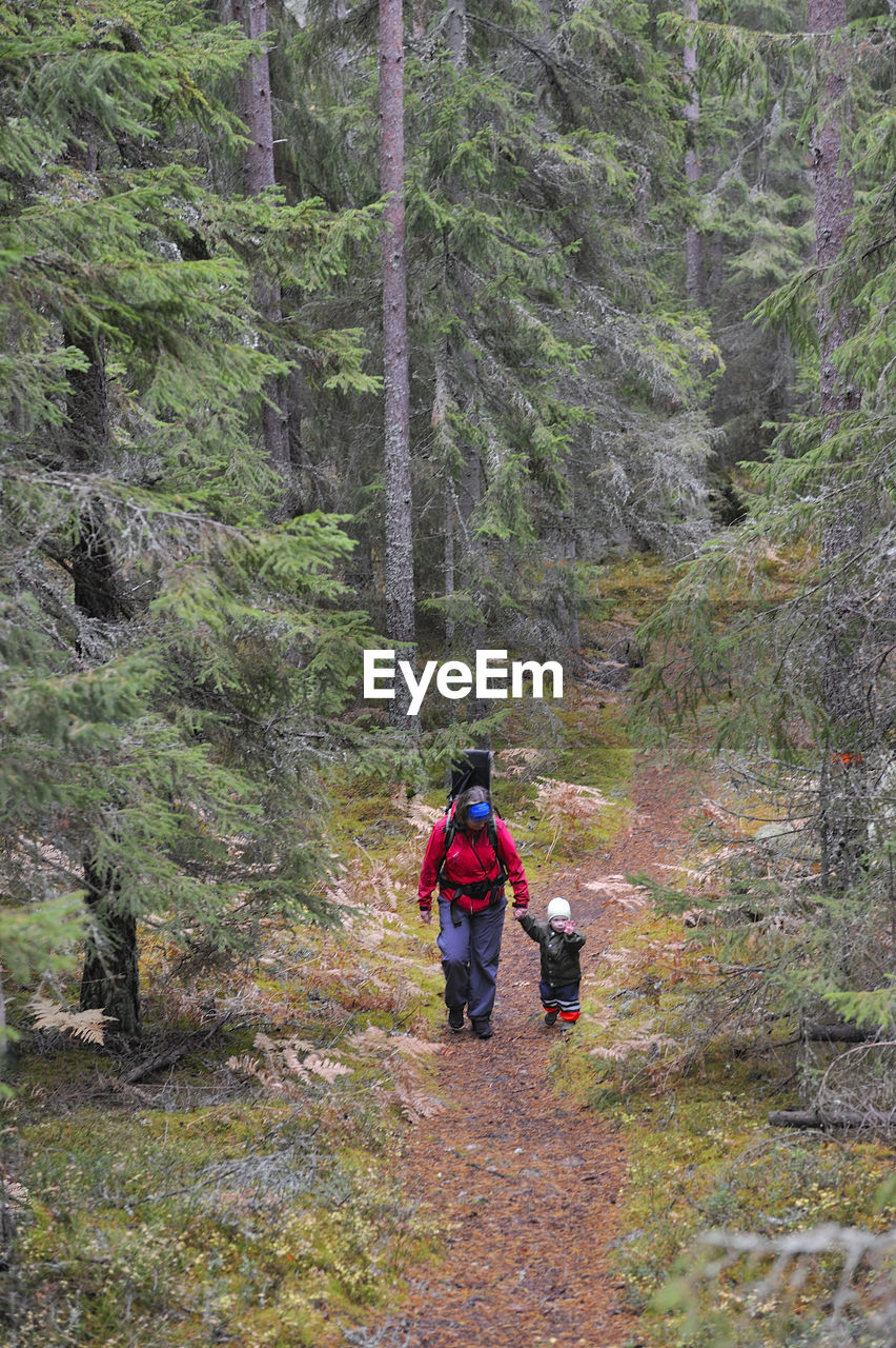 Mother with child walking through forest, tiveden, sweden