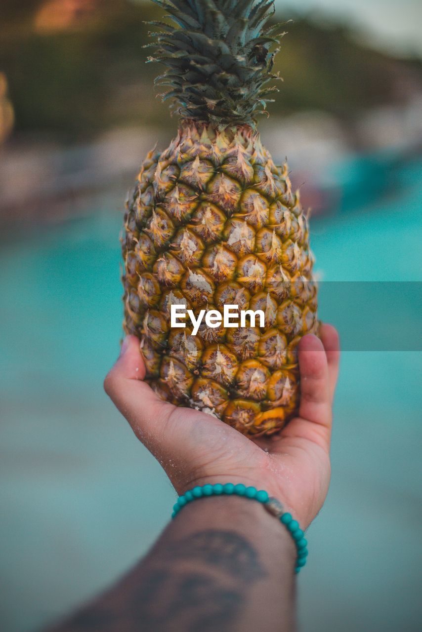 Cropped hand holding pineapple