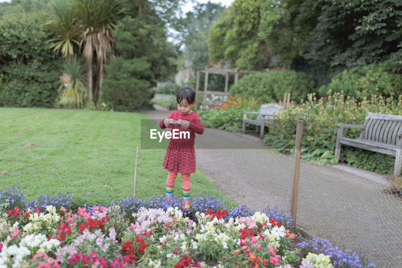 Young girl taking photo in the summer garden morning