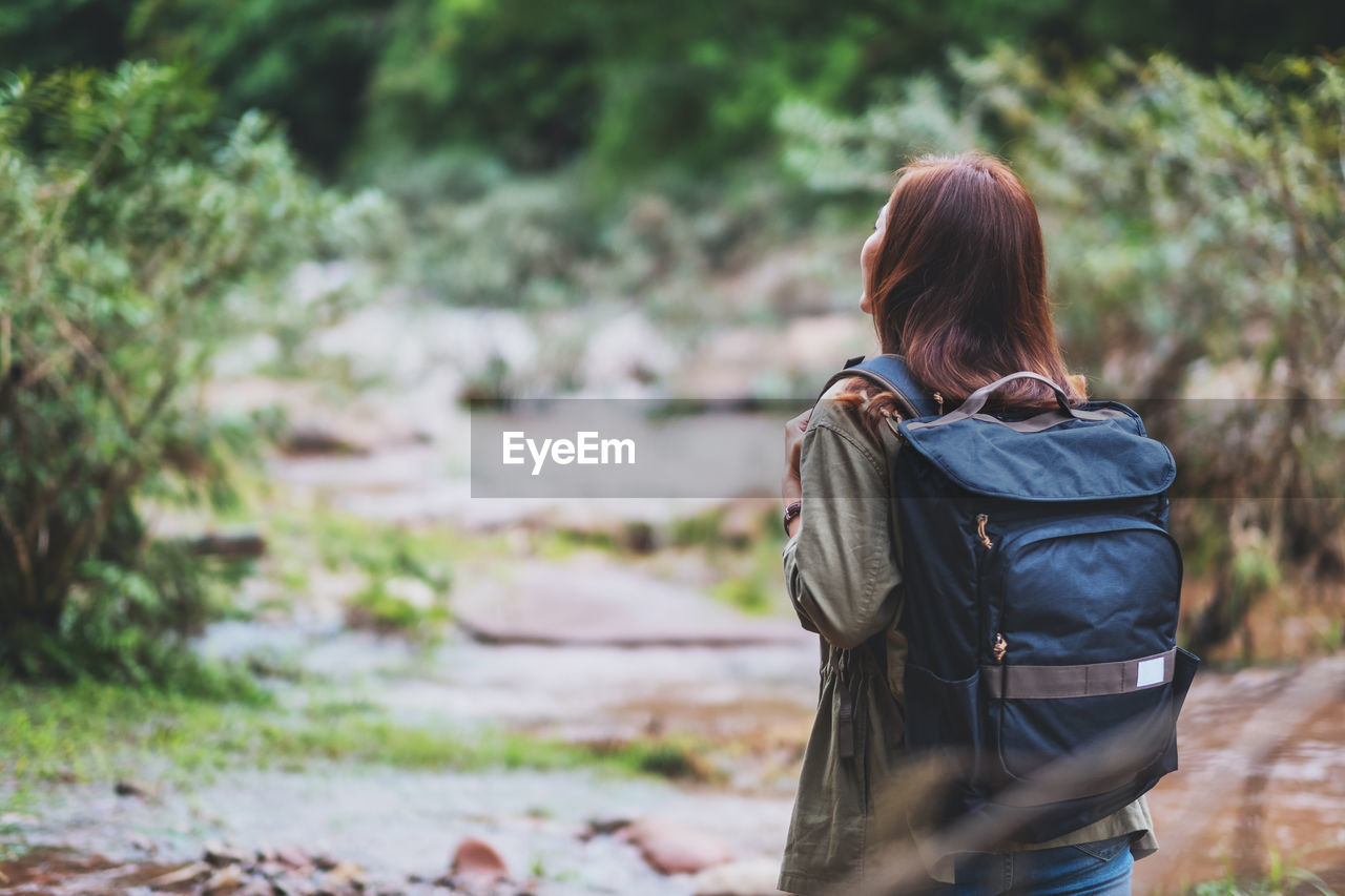 Rear view of woman standing in forest