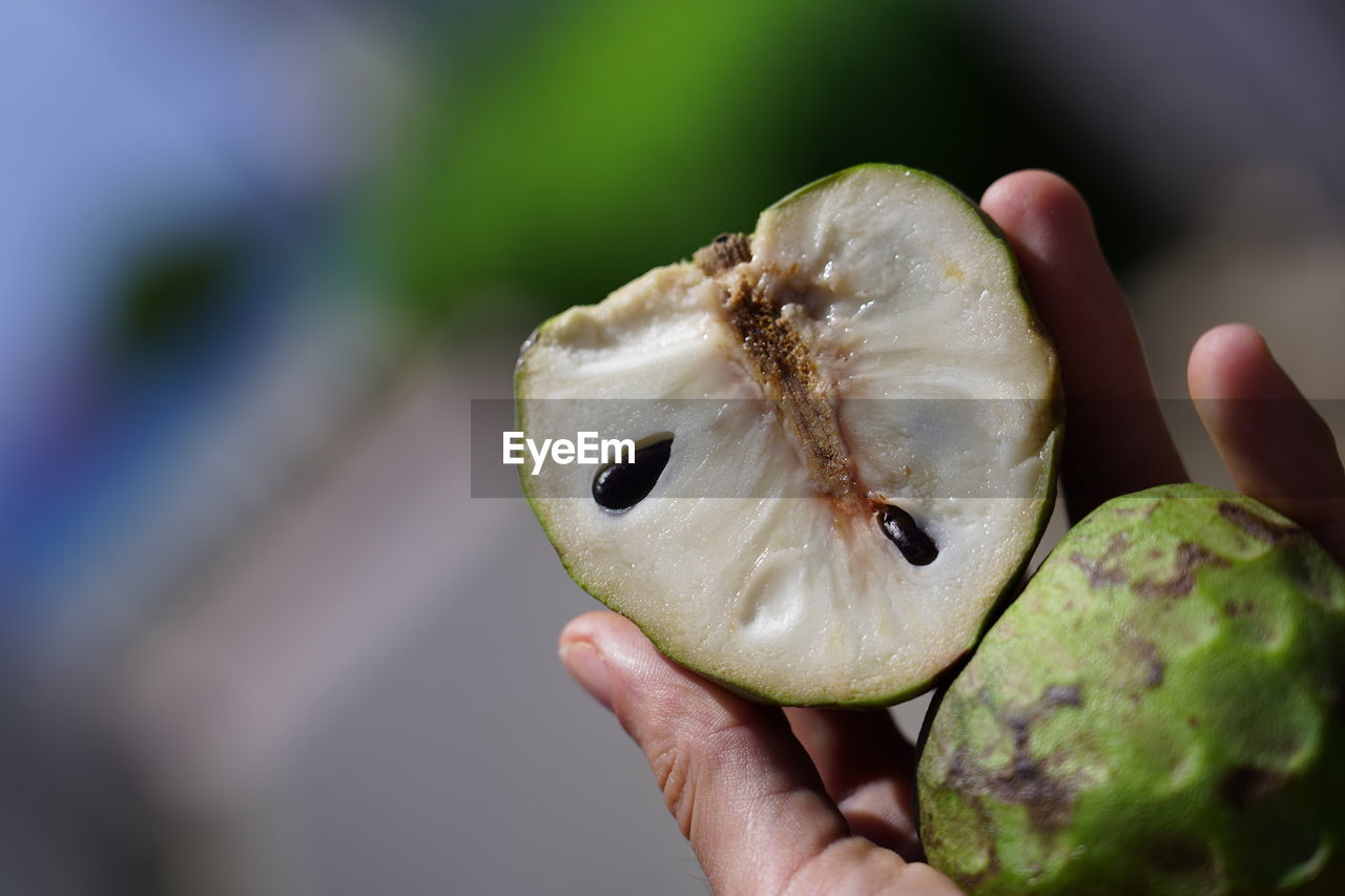 CLOSE-UP OF HAND HOLDING BANANA
